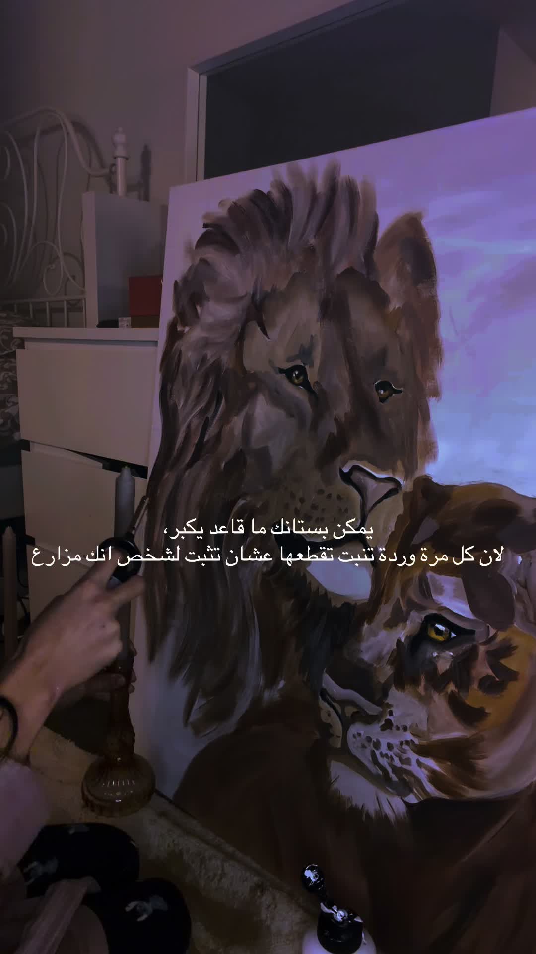 @Sirina