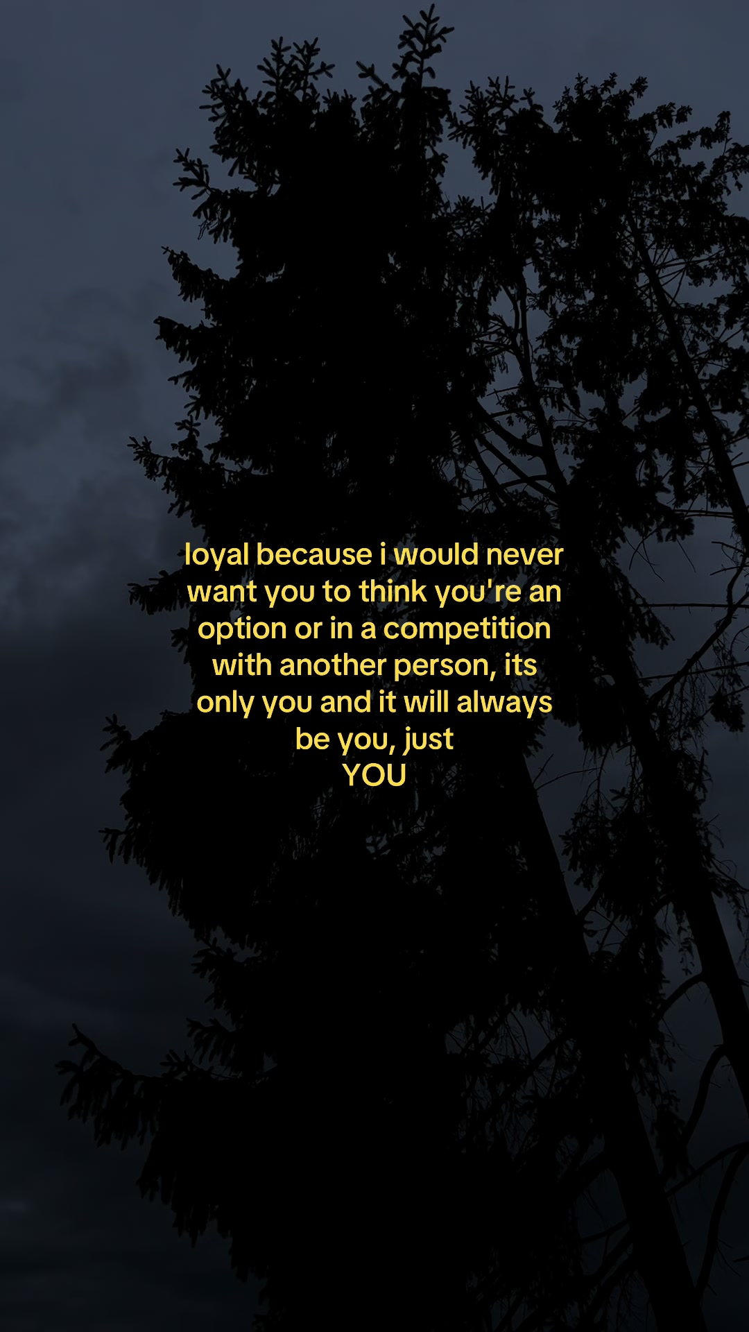 @✧