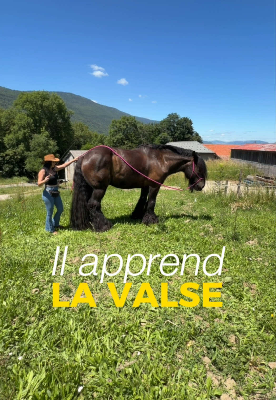 @Untraitdecheval