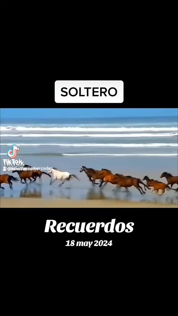 @laferrarilamercedes