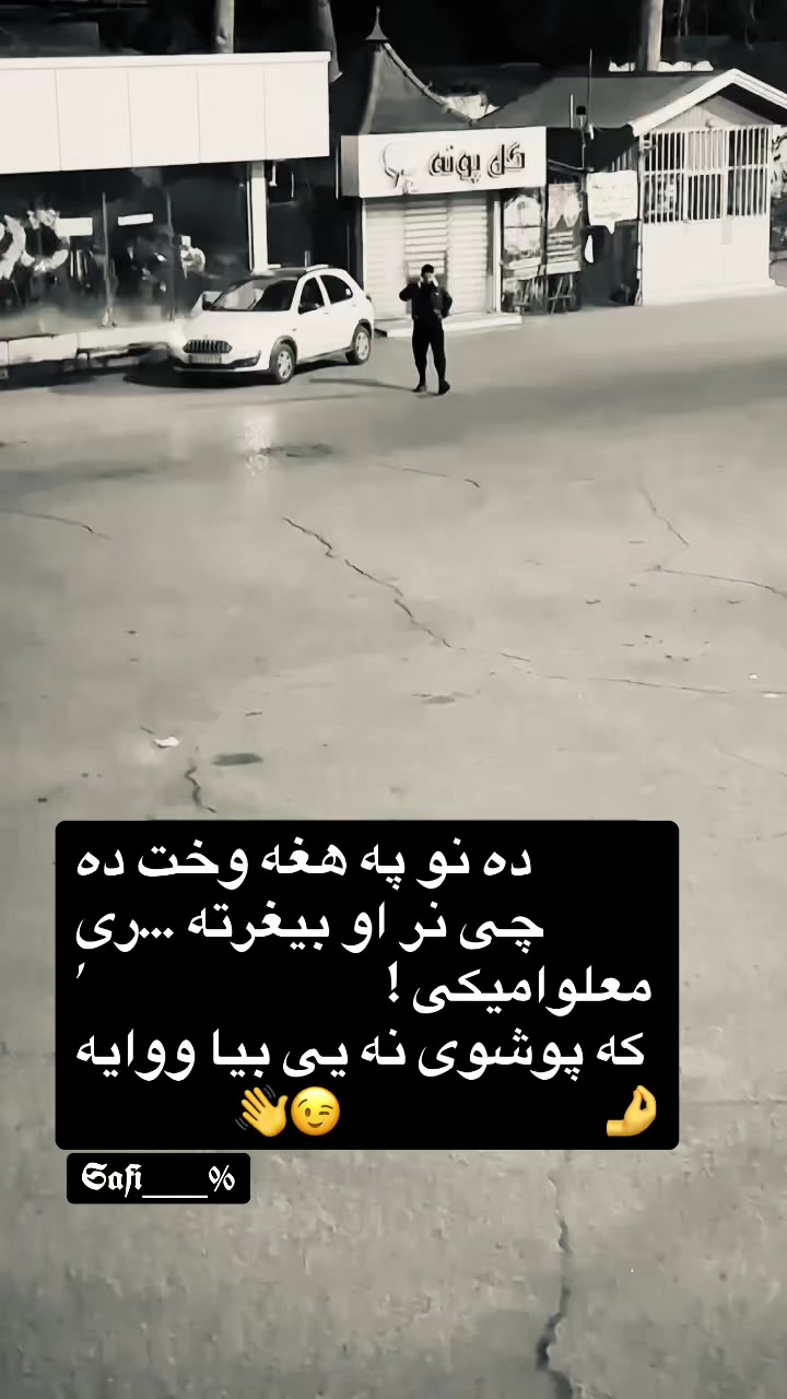 @safi.tg2026