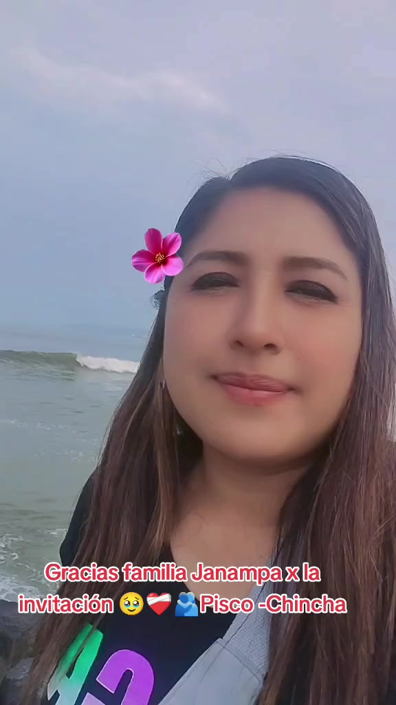 @Pilar Janampa Sarmiento