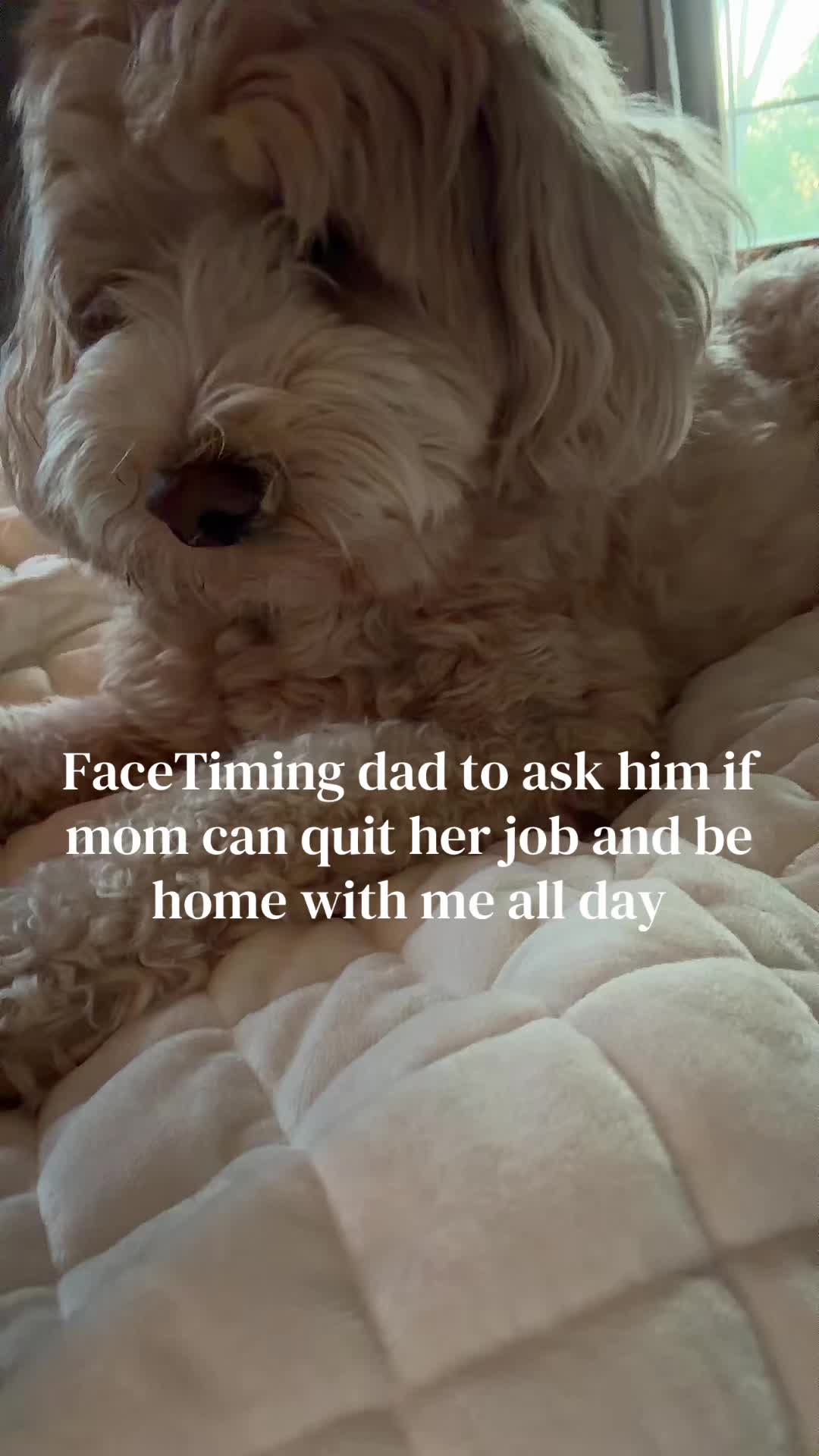 @lauren✨🫶🌷💋🐶
