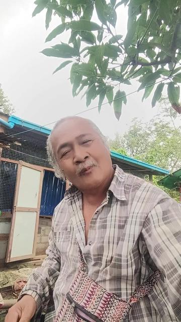 @Sai Lone