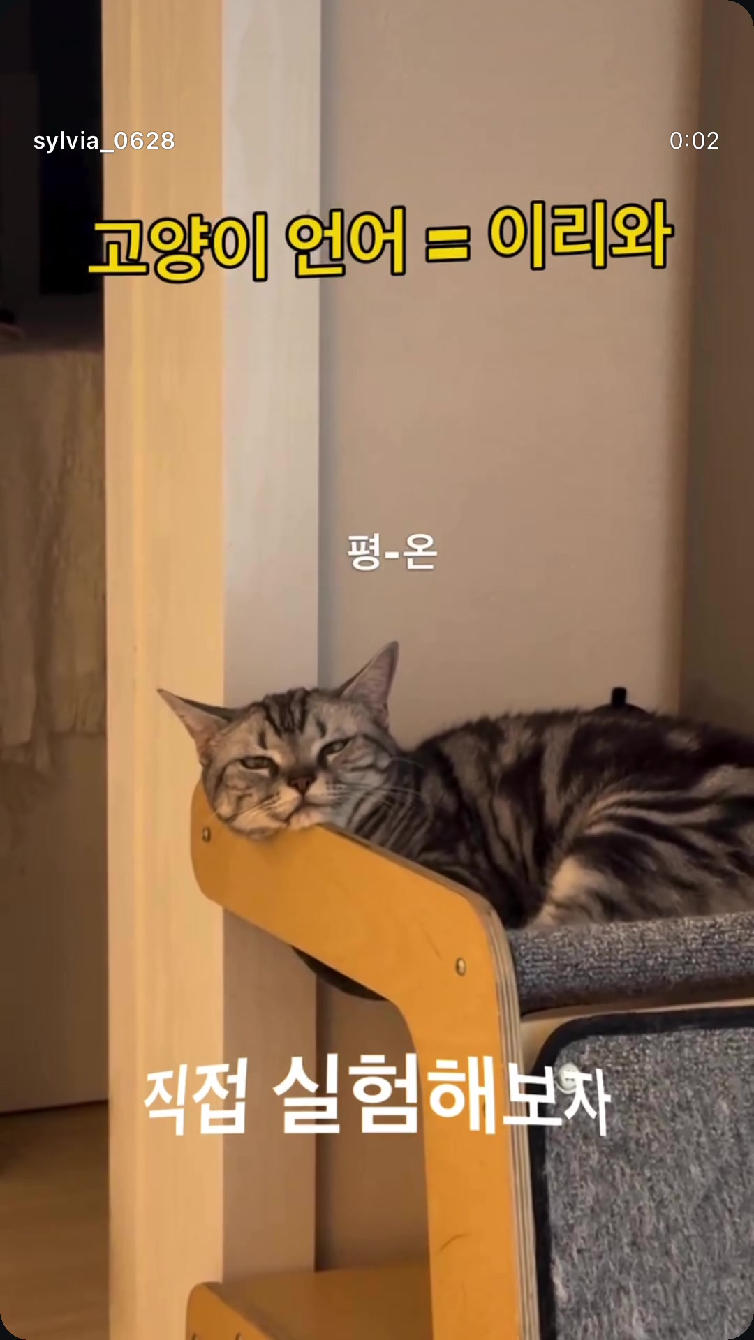 @하나비 Hanavi🩷