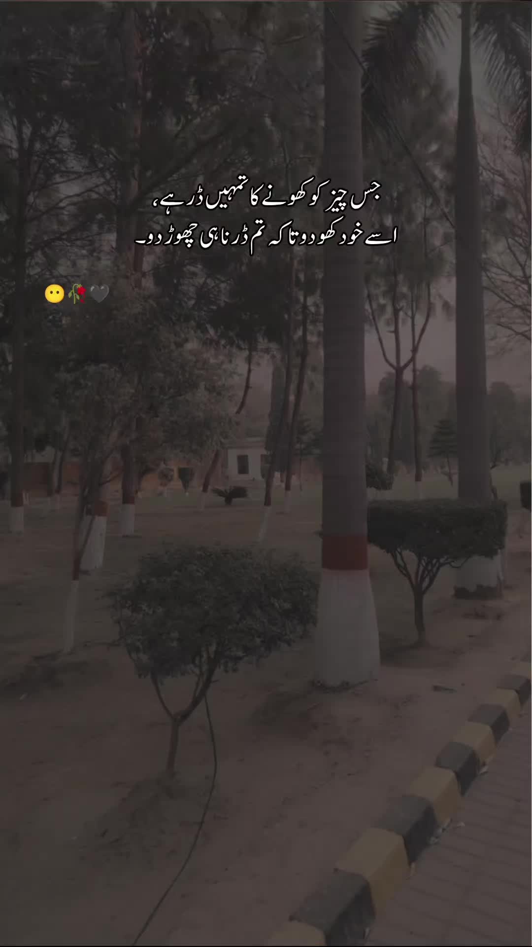 @saifrana5508