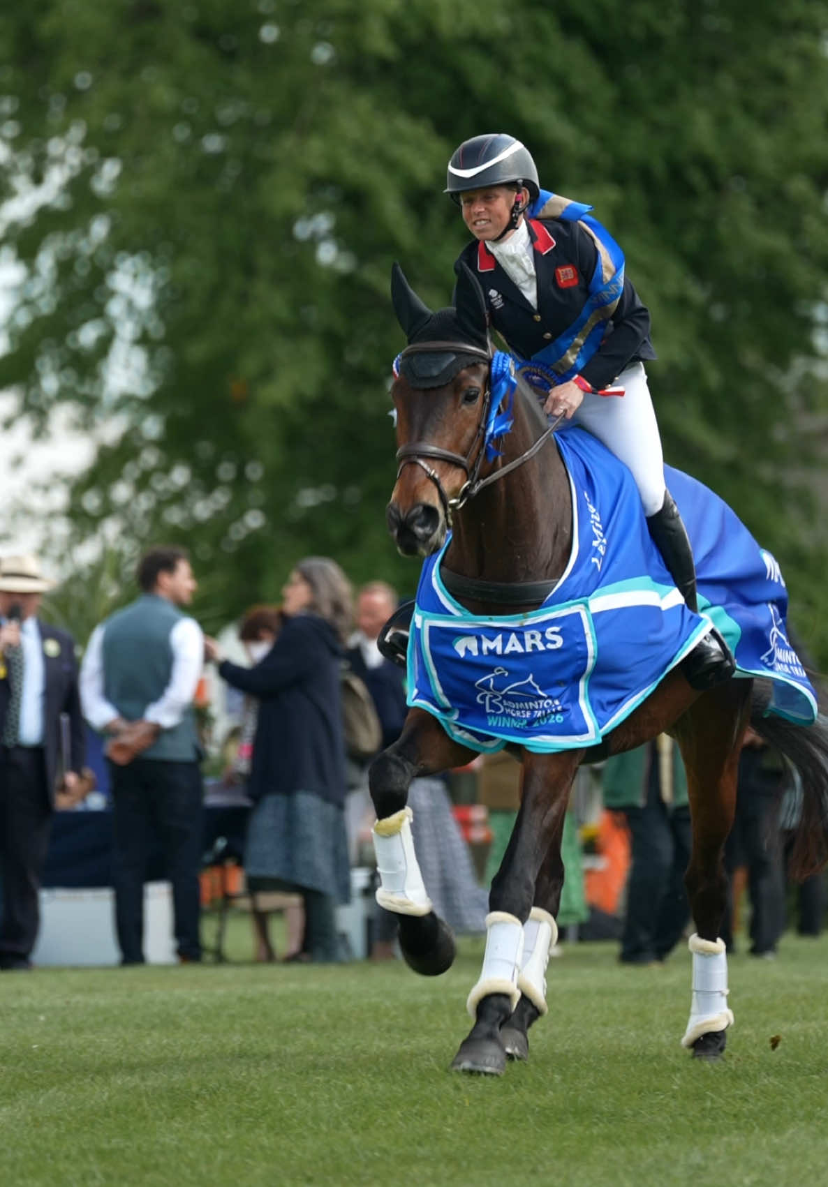@HorseQuest - Horses for Sale