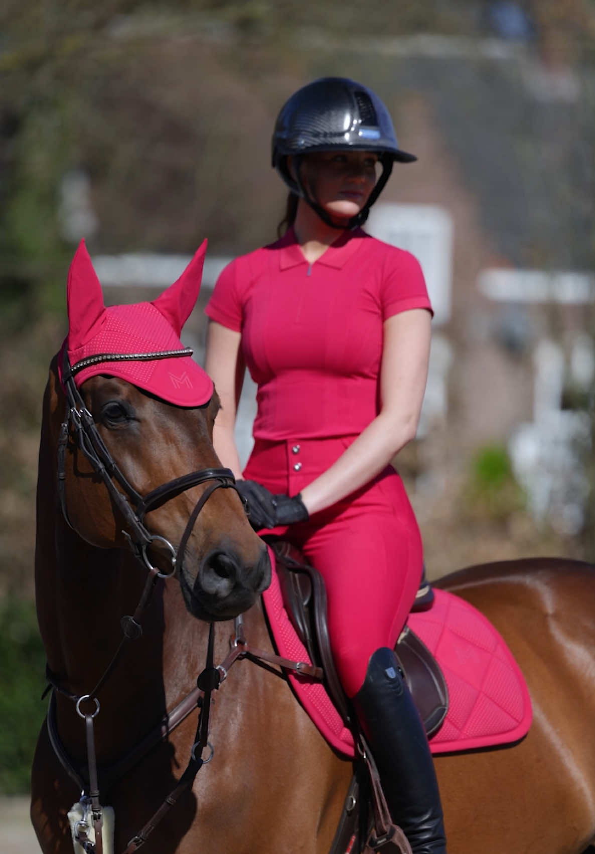 @Maximilian Equestrian
