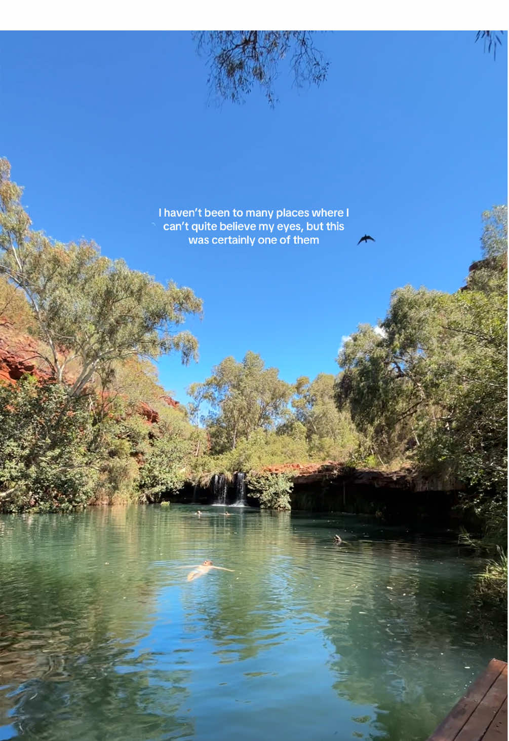 @Soph | running + life 🐆