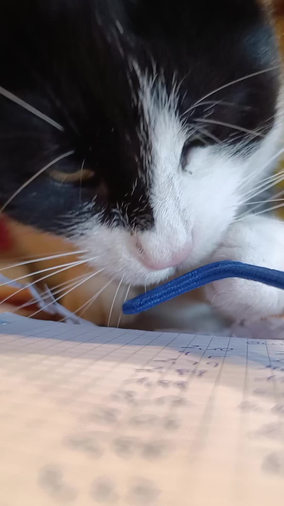 @✌️😻𝕱𝖚𝖓𝖟𝖓