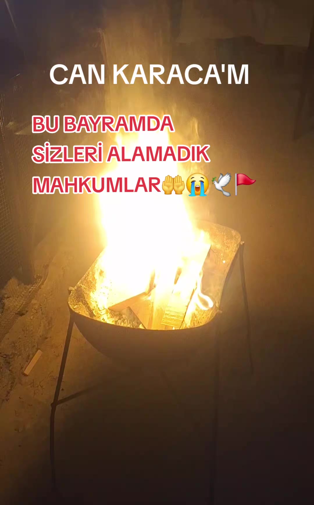 @can_gul0102