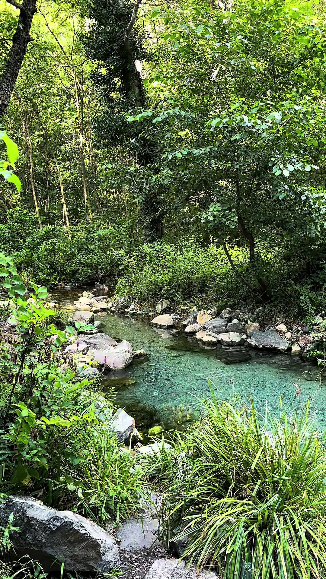 @Explore nature with me