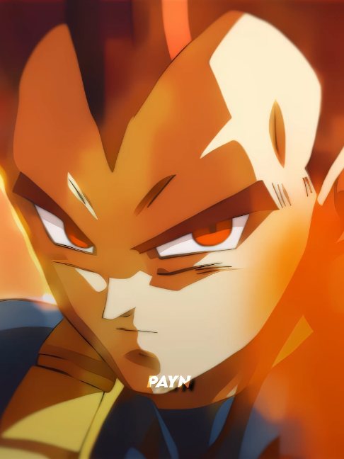 @payn_ae