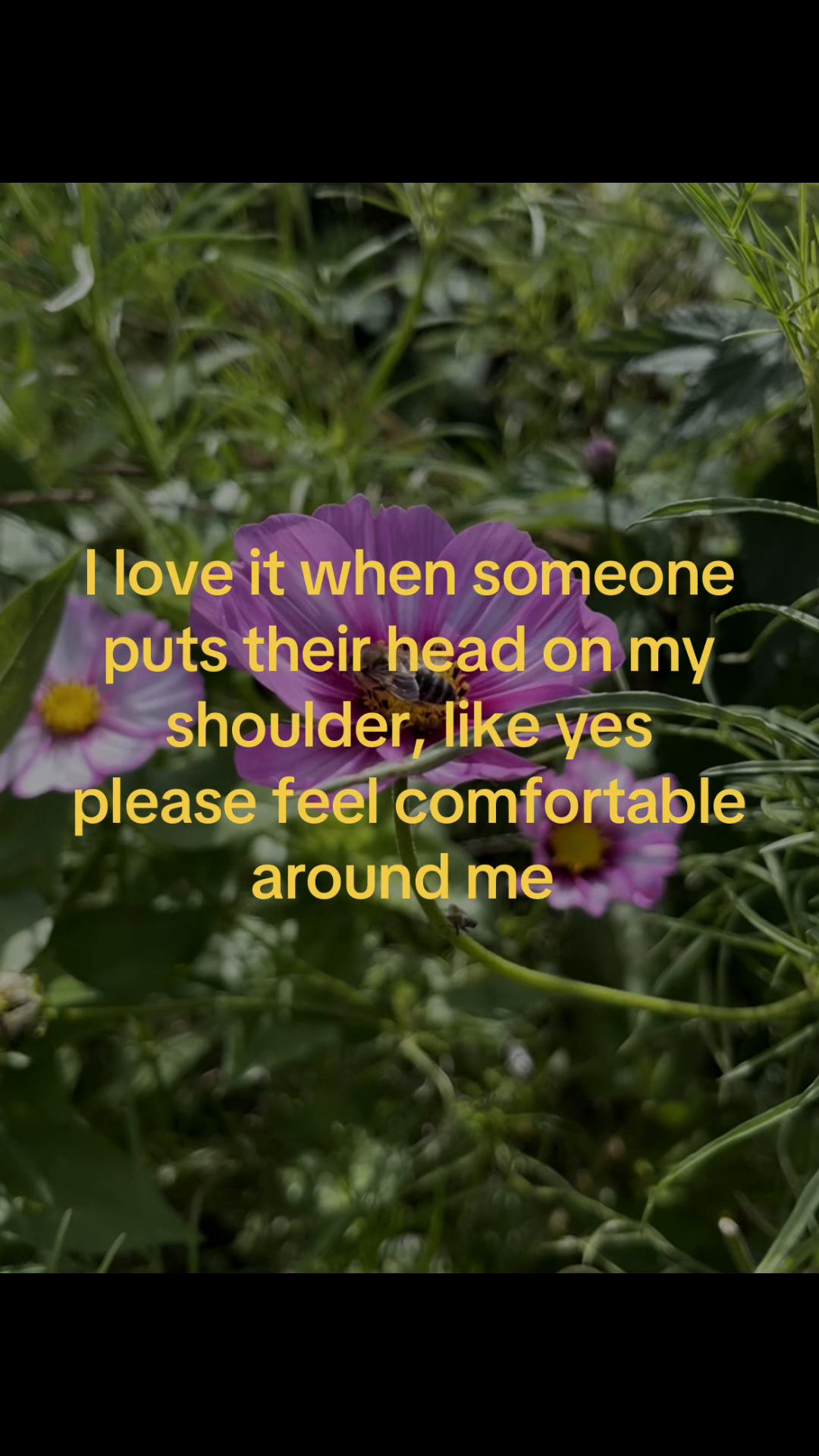 @Yuki
