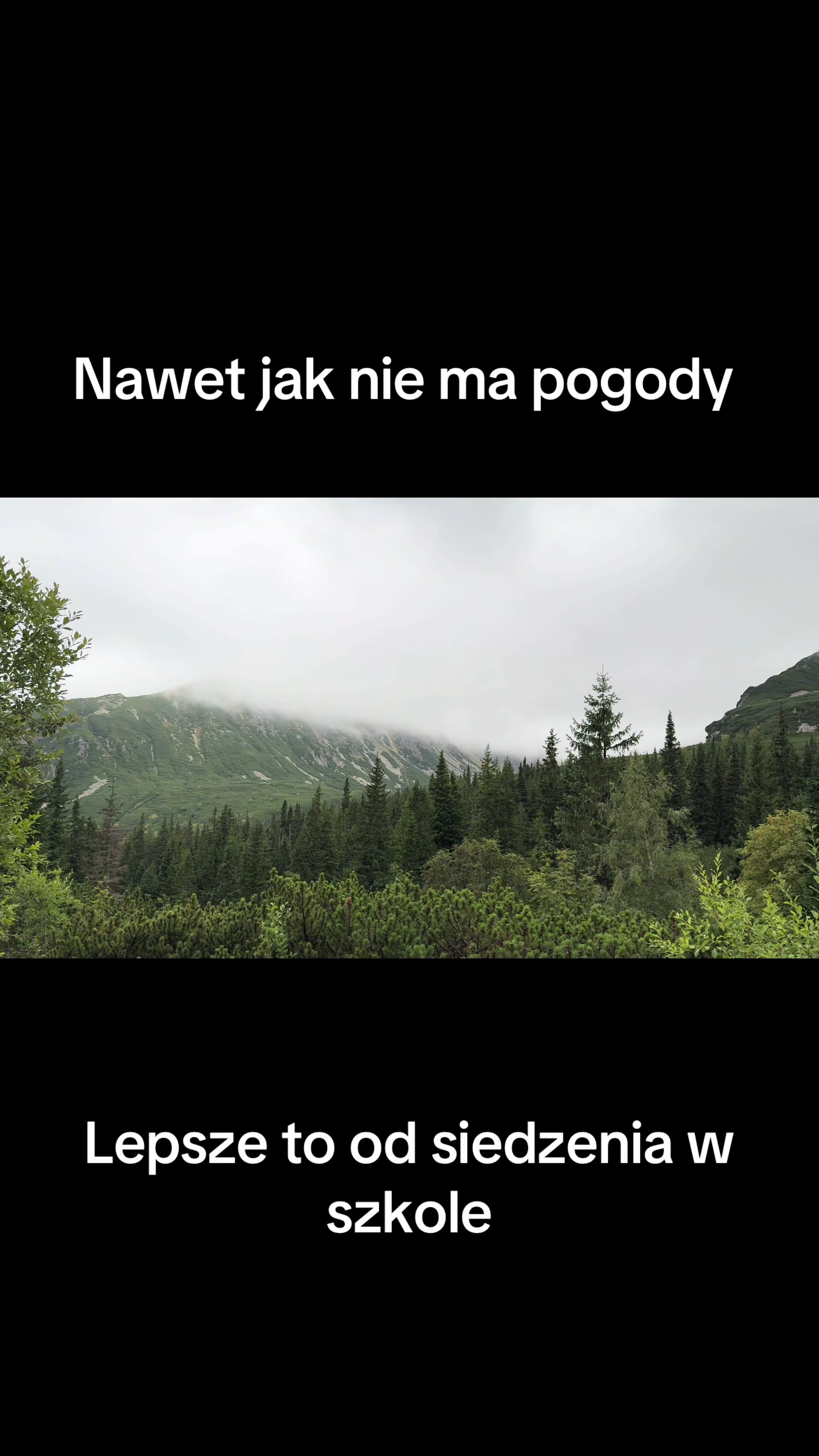 @Kiki🪷