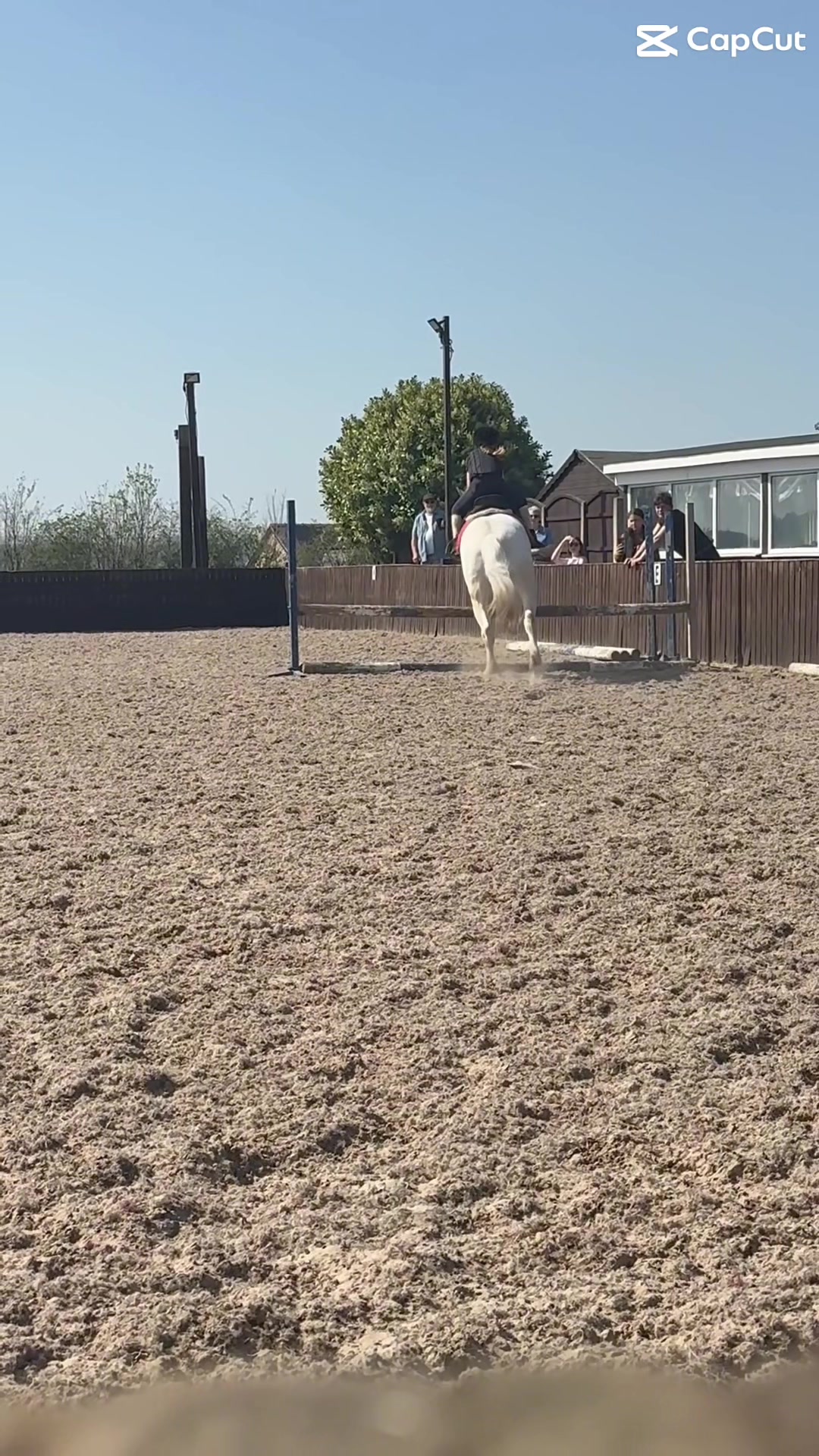 @LottiesHorseAdventures🦄🐴