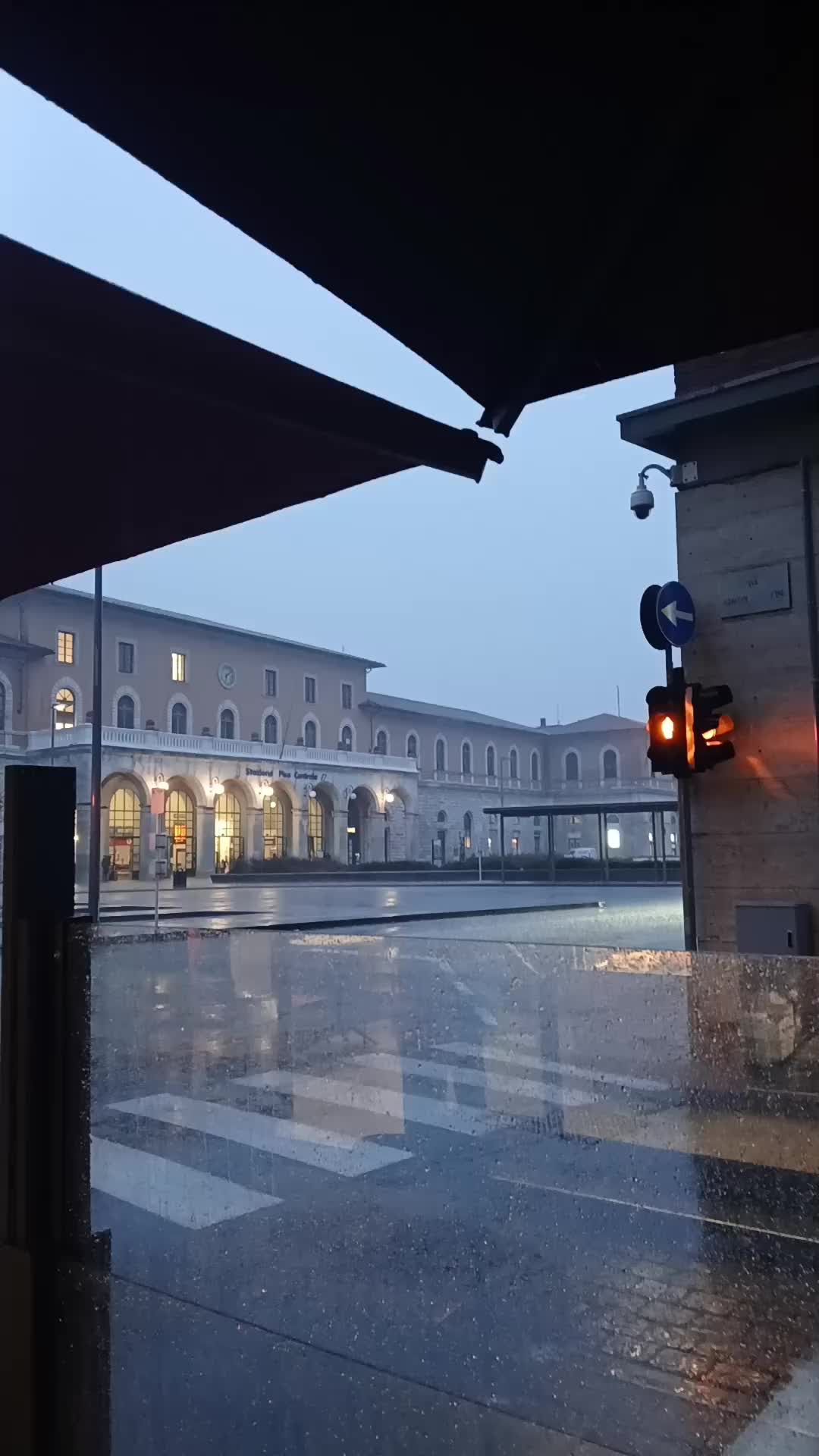 @cagnaccio