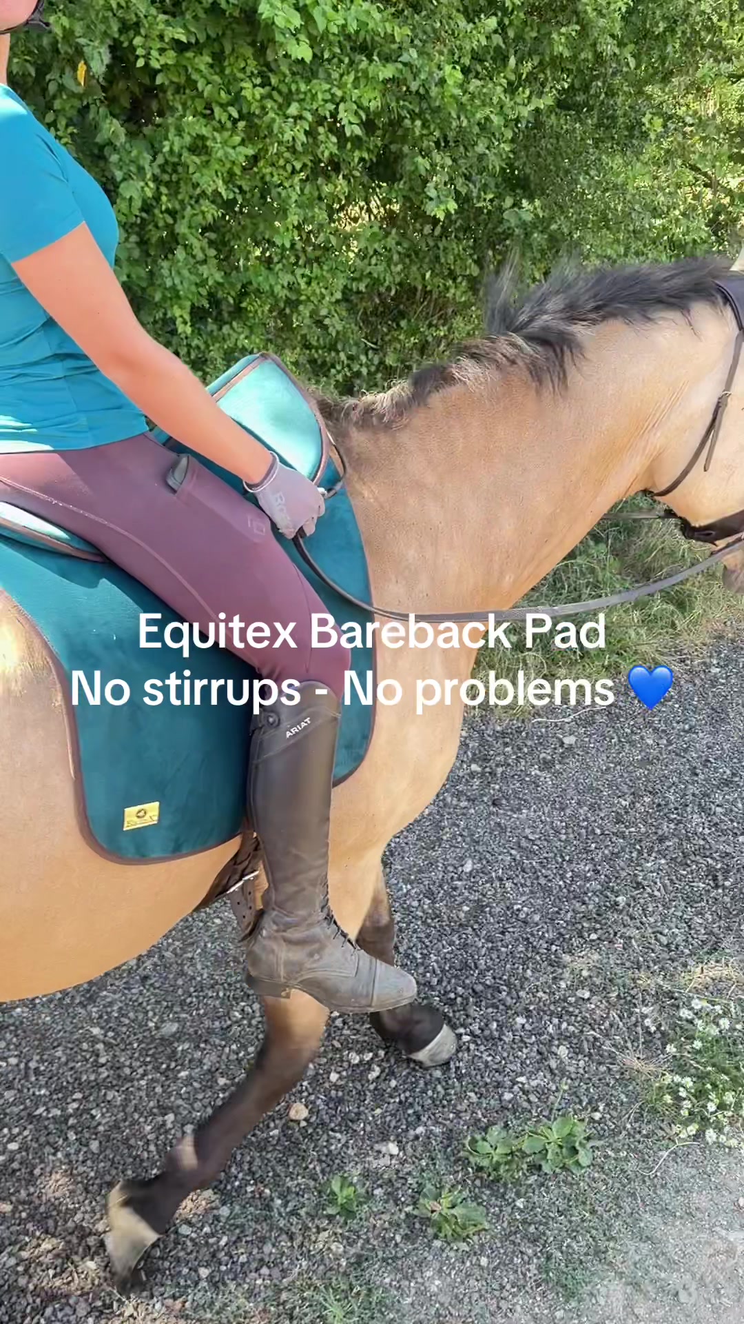 @Equitex