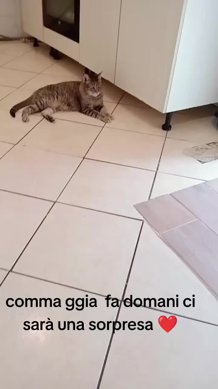 @Maria ciampa