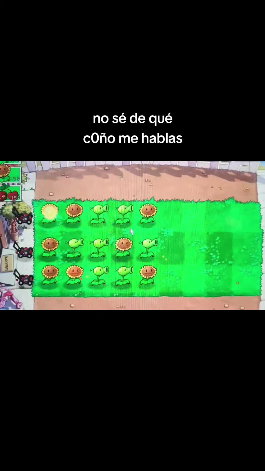 @Lea 𖦹