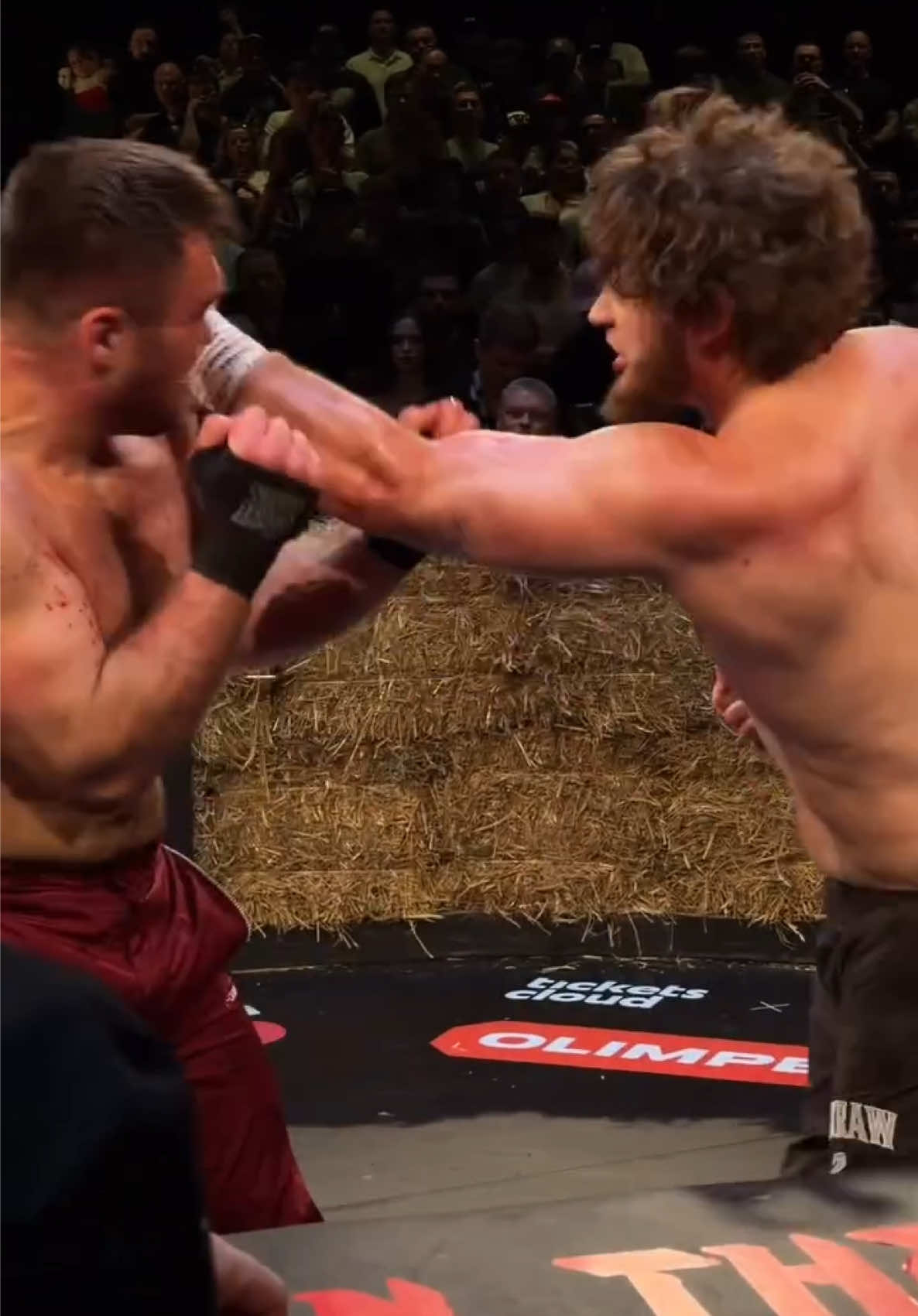 @FightingLab