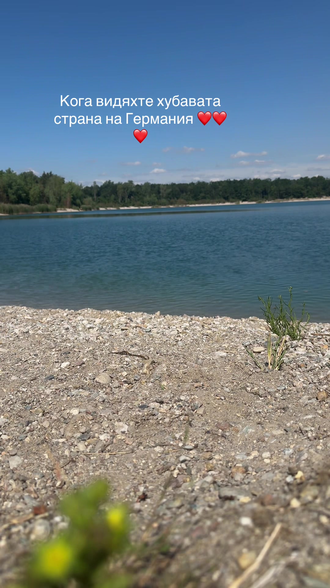 @GeorgiTaskov99