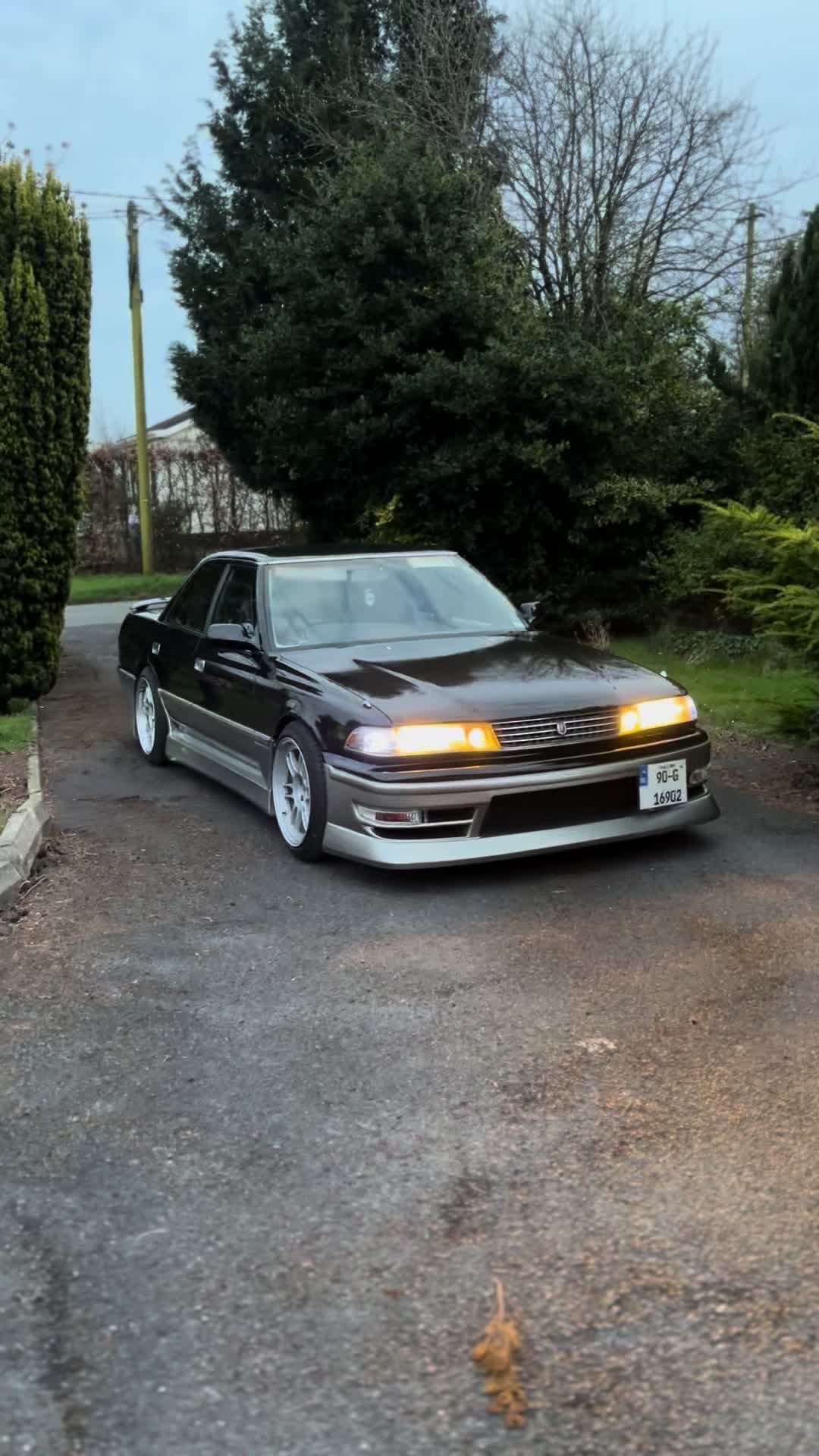 @Shane_jzx