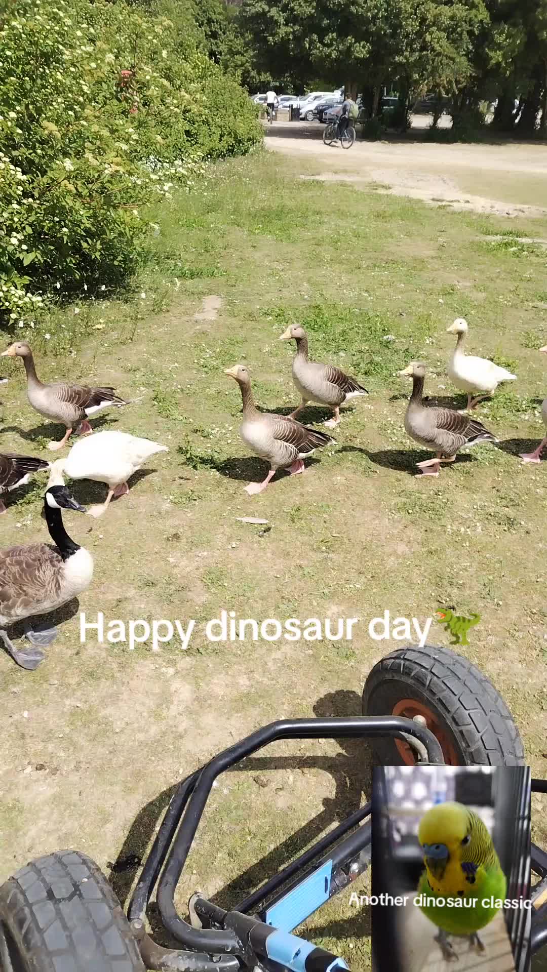 @🦖🐢Peanut_282🐊🦜