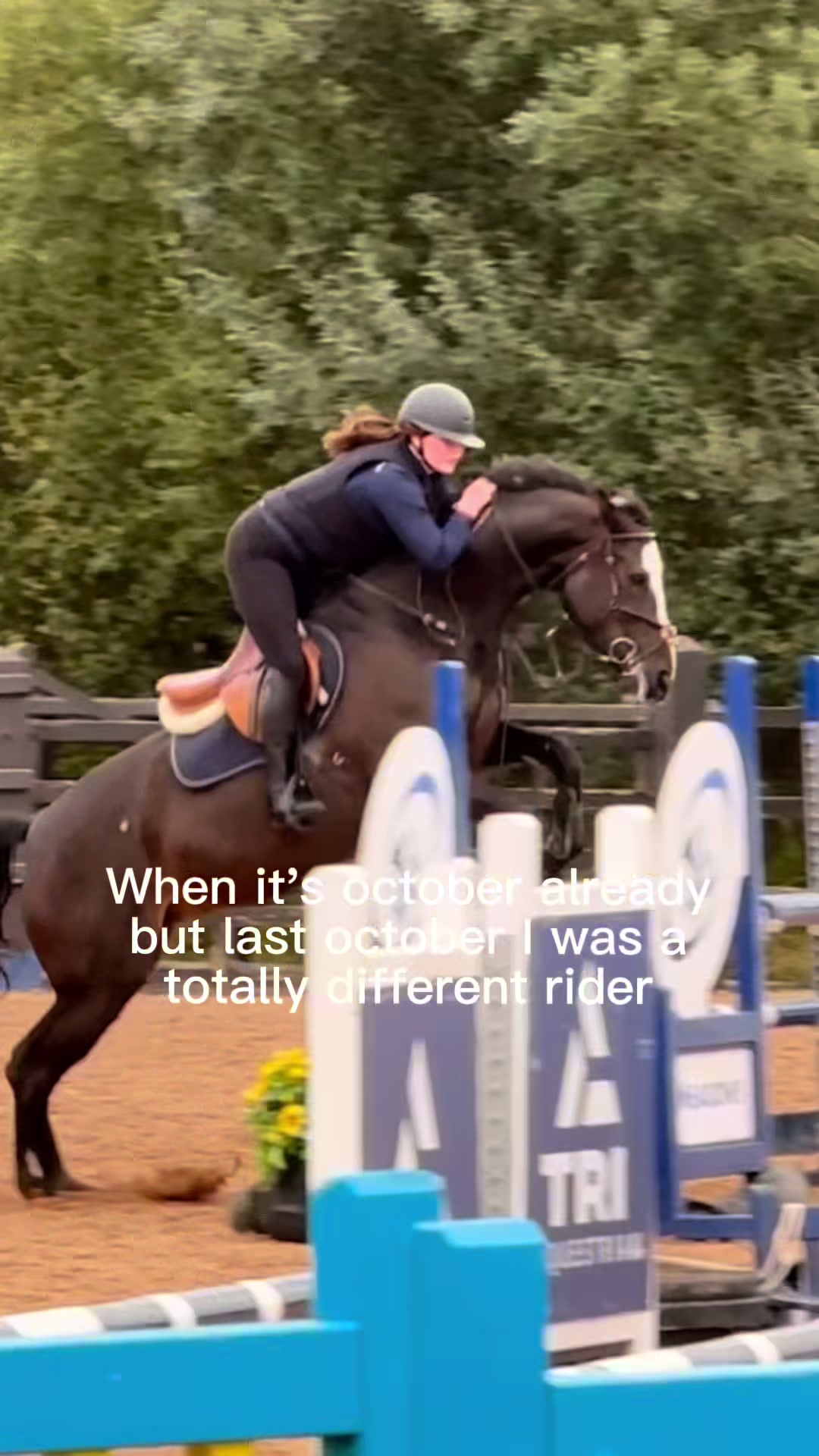 @🤍🐎Eloise🐎🤍