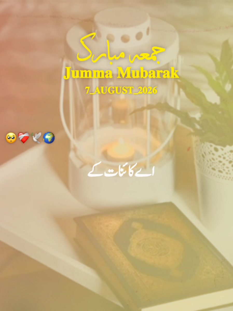 @𝐒𝐀𝐐𝐈𝐁 𝐄𝐃𝐈𝐓𝐒✨️