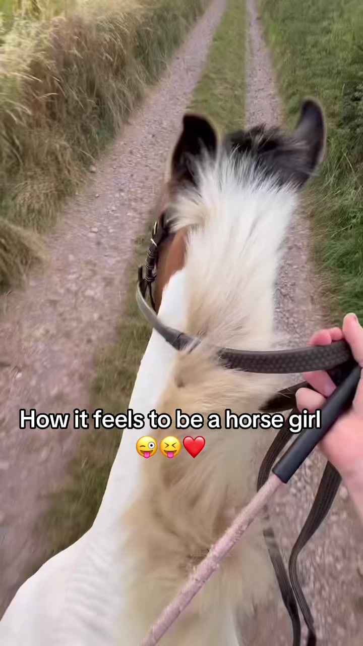 @Lilywiththecobs🐴