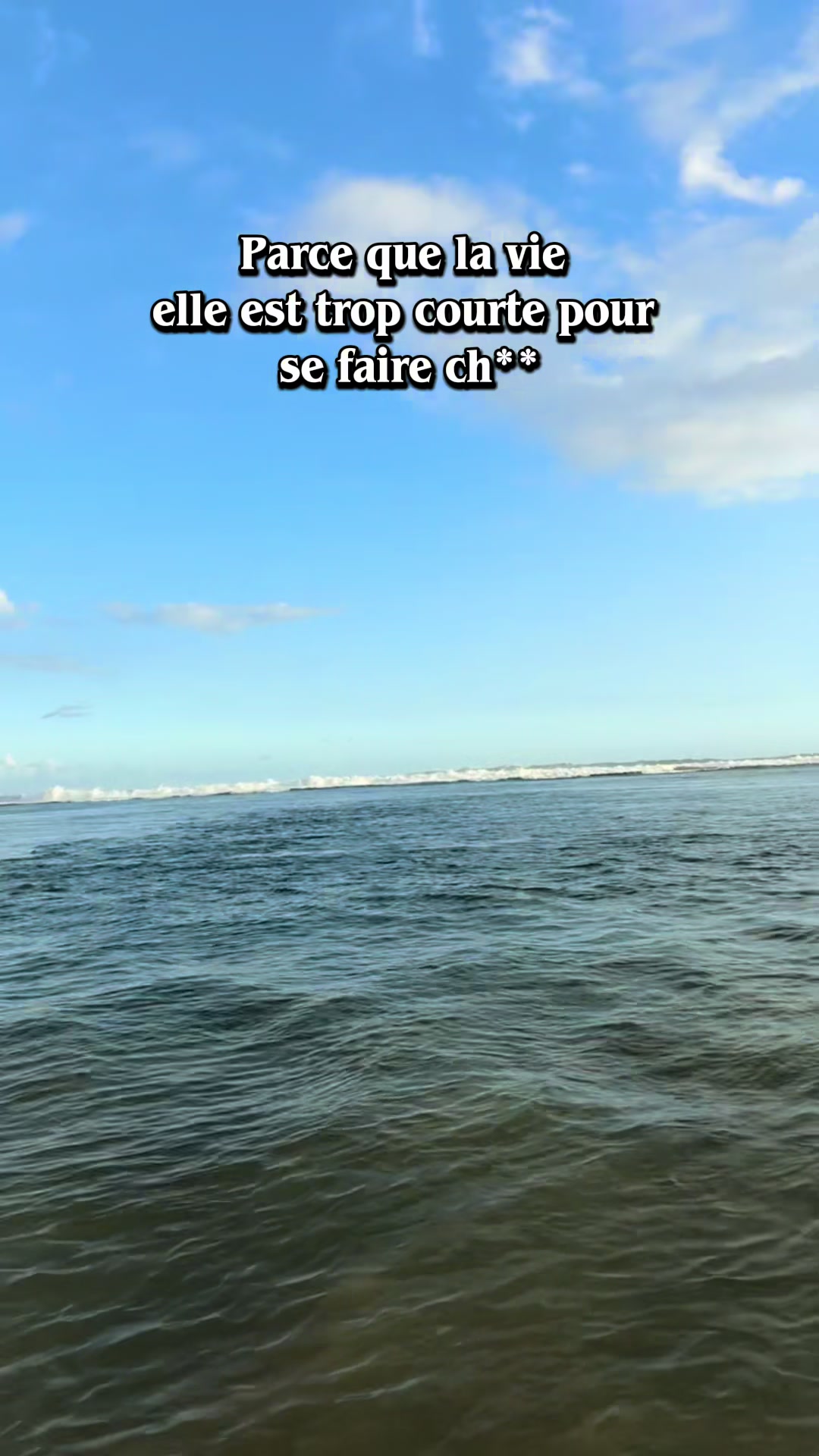 @clem 🐚✨