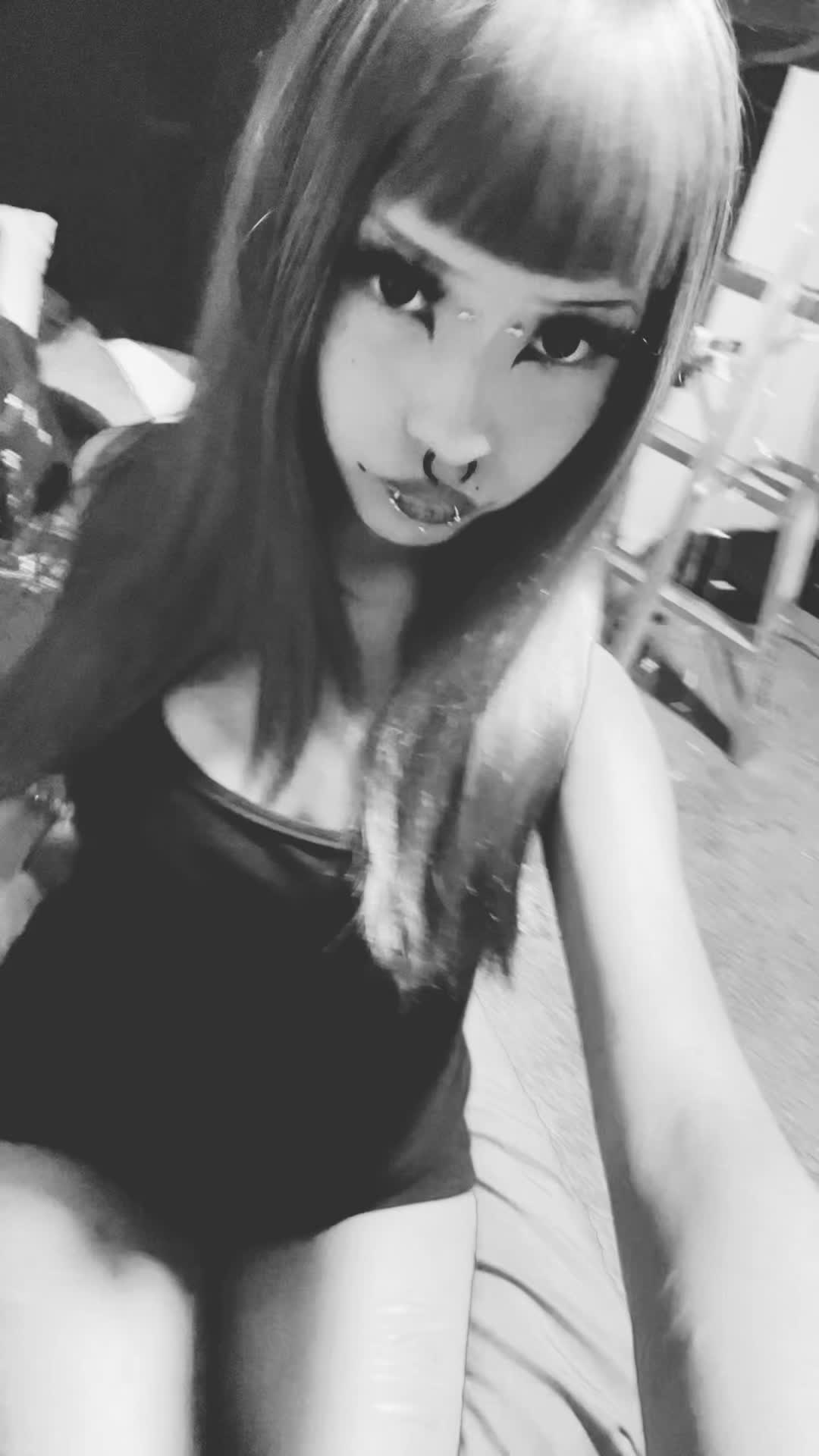 @≽^&bull; ˕ &bull; ྀི≼