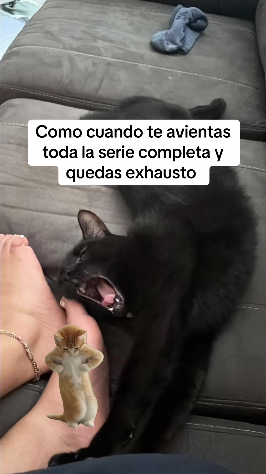 @Dramas ᥫ᭡