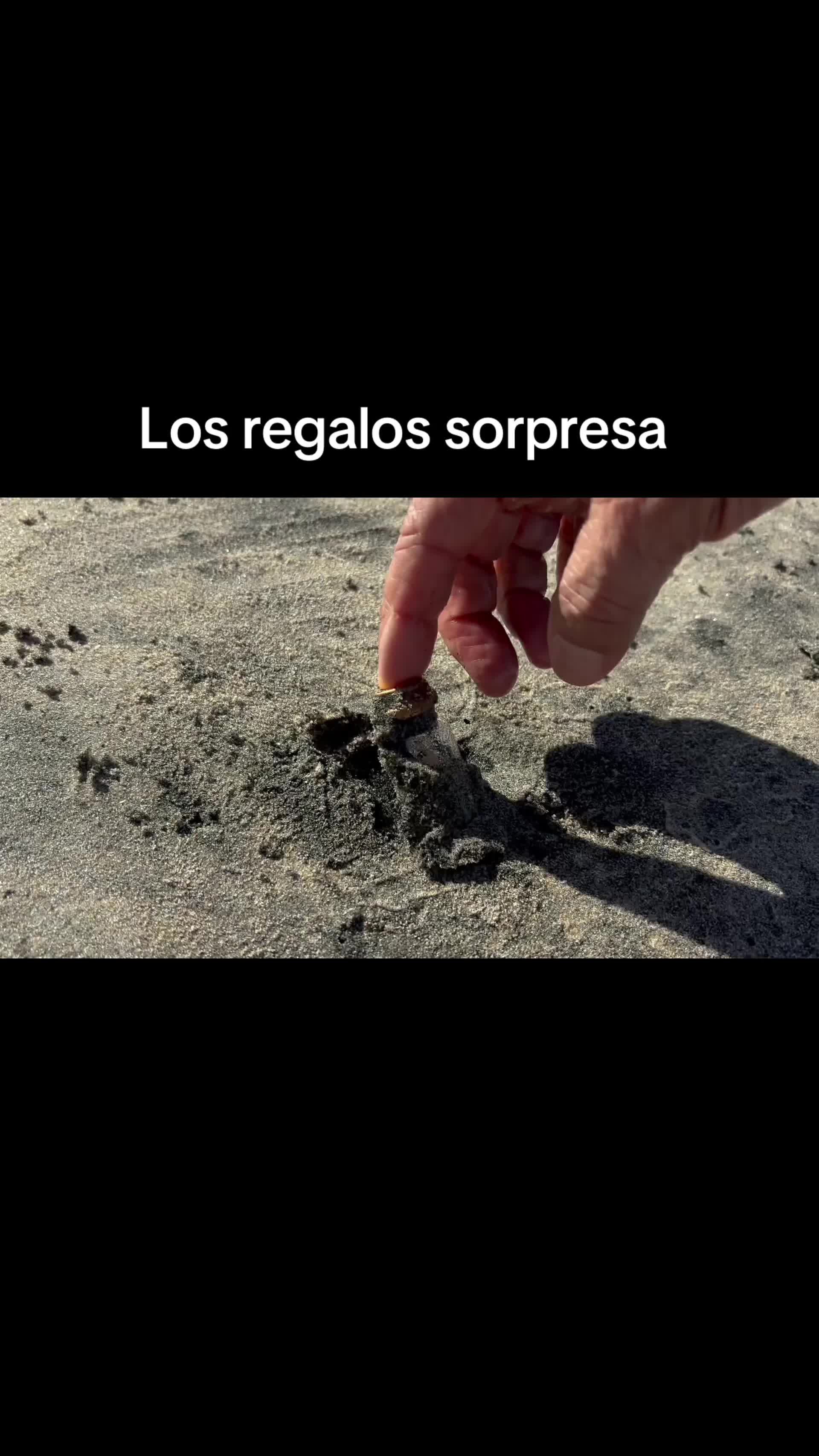 @Anabella Rojas Vanososte