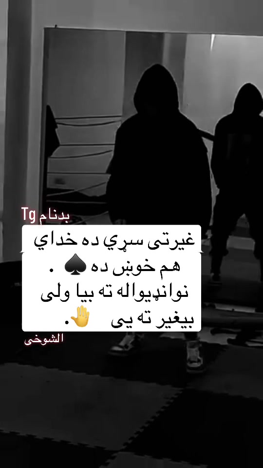 @safi.tg2026