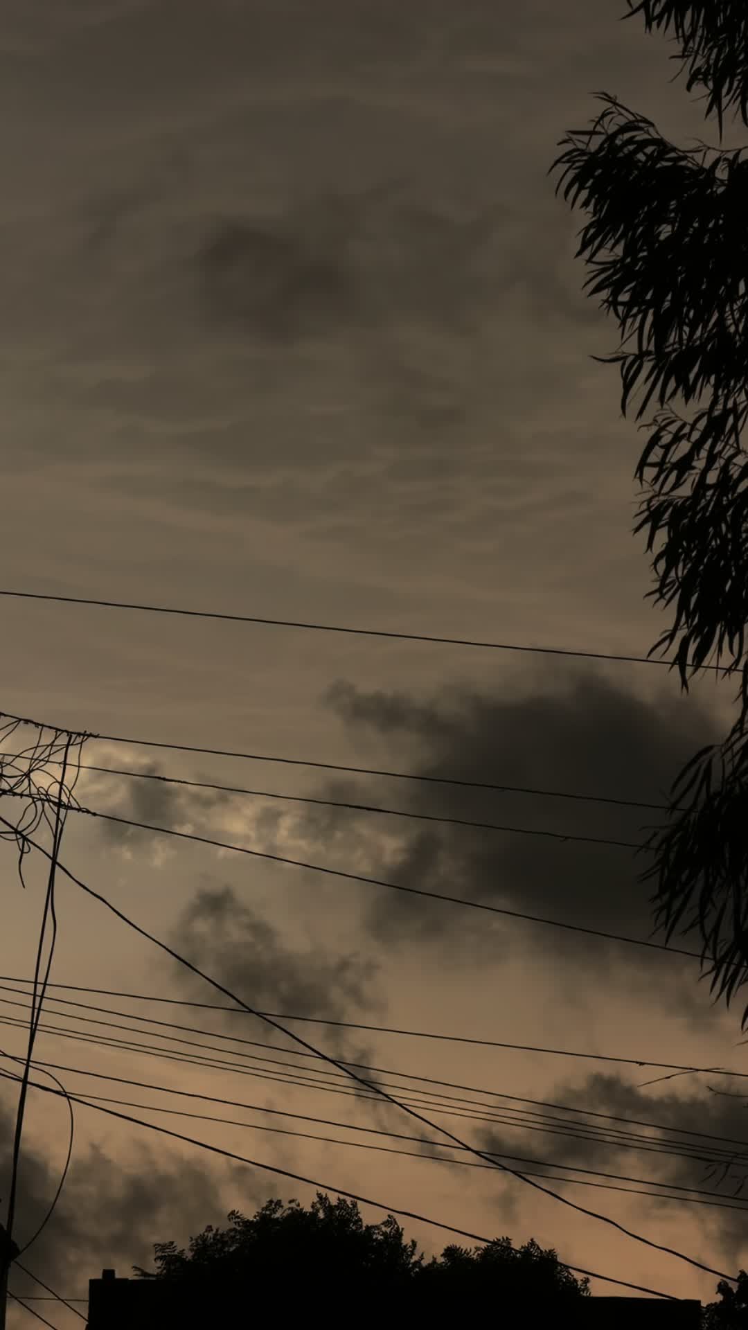 @𝙼𝐻