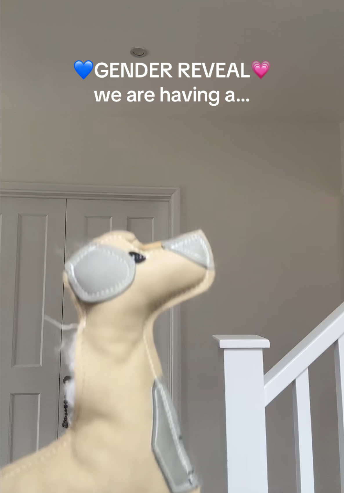 @laure