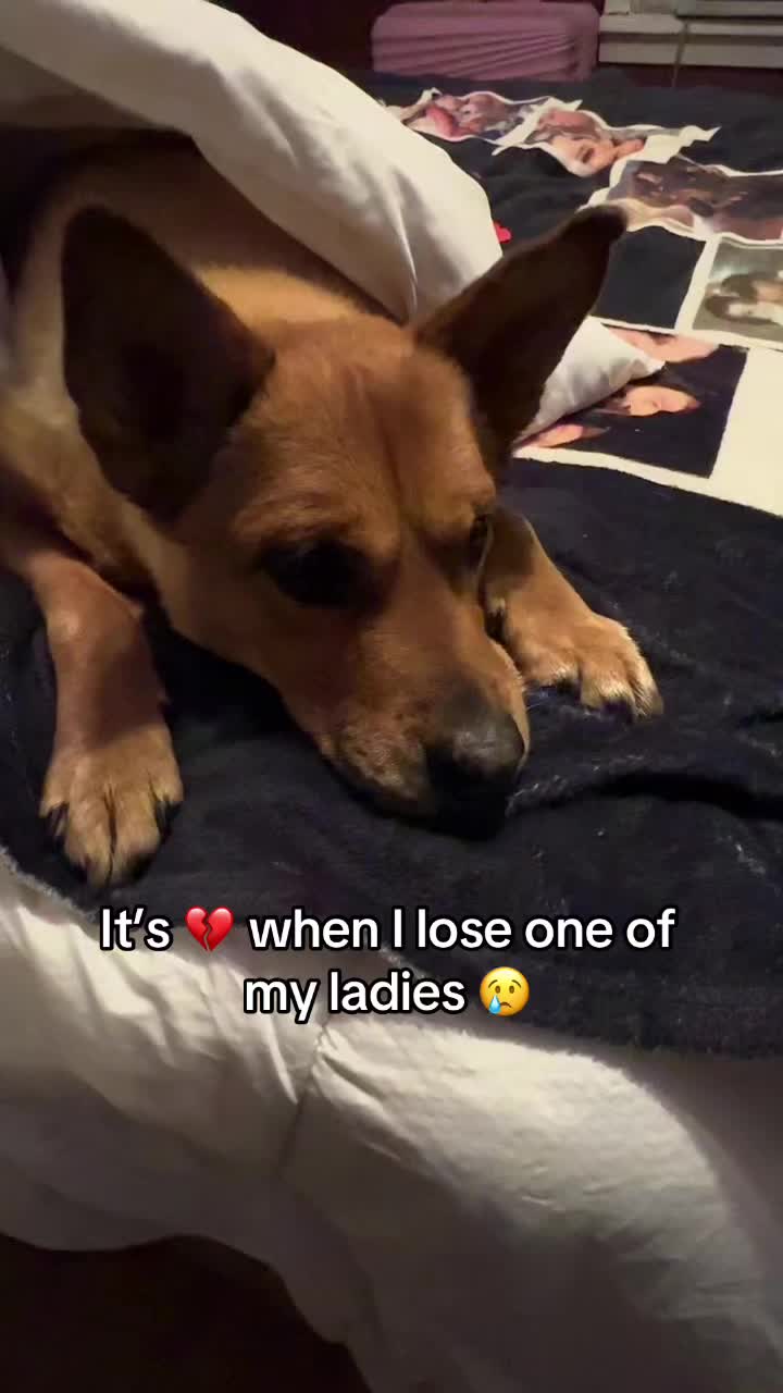 @Angela_maxx