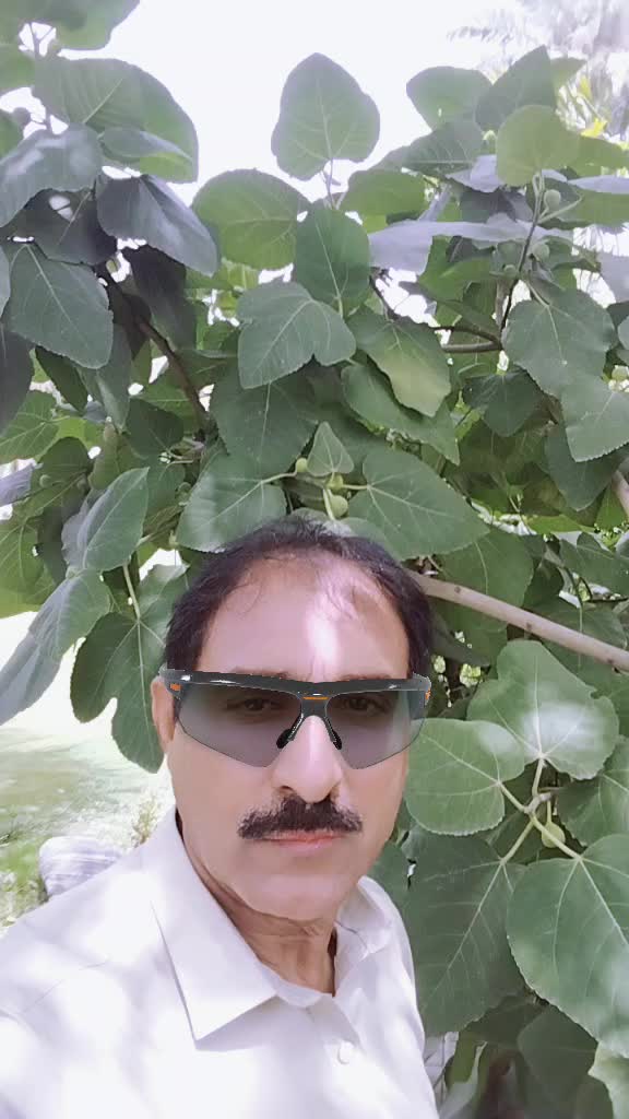 @M Nazir