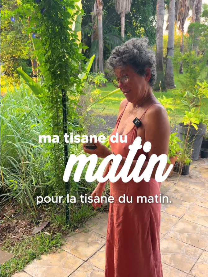 @Le Jardin Maniron 🌺🌴🌱