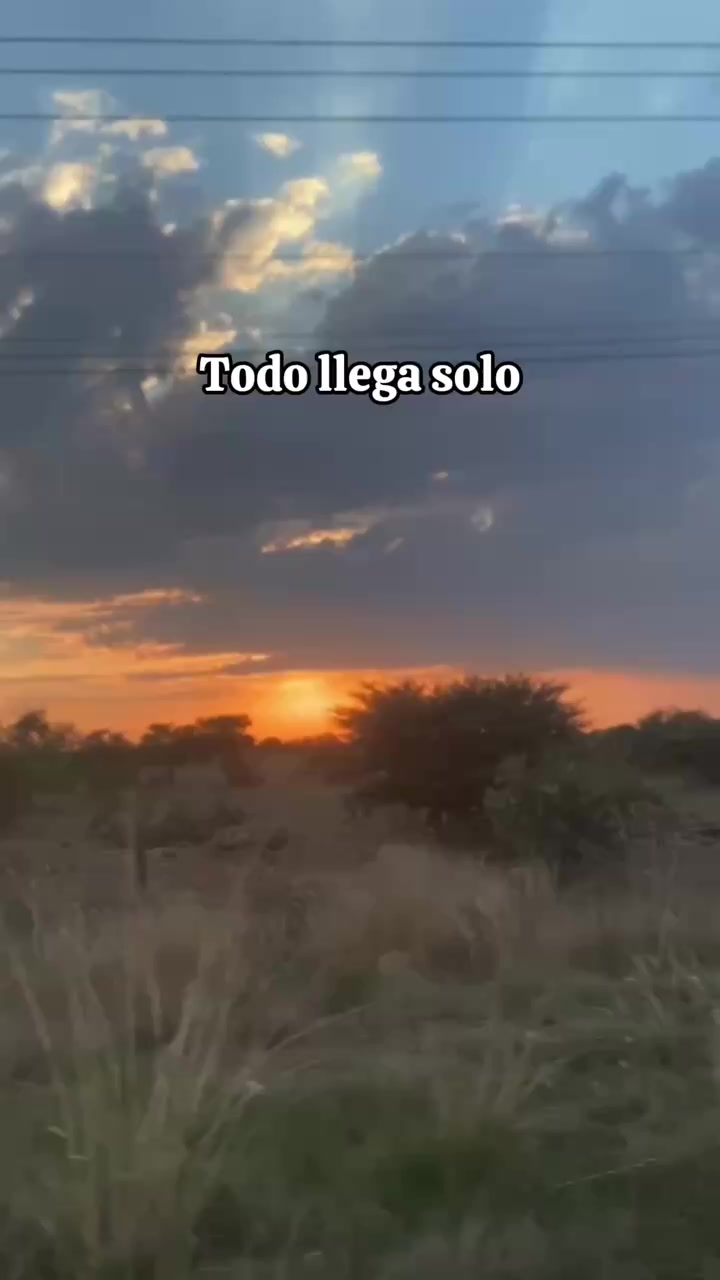 @Corazon del Bosque
