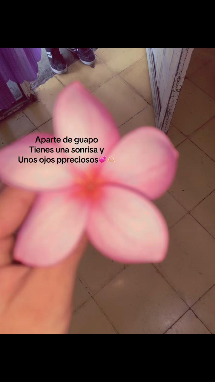 @@ᥫ᭡ ✮ nikol perez✮ ᥫ᭡ᥫ᭡✭◎