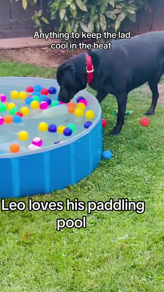 @Leo