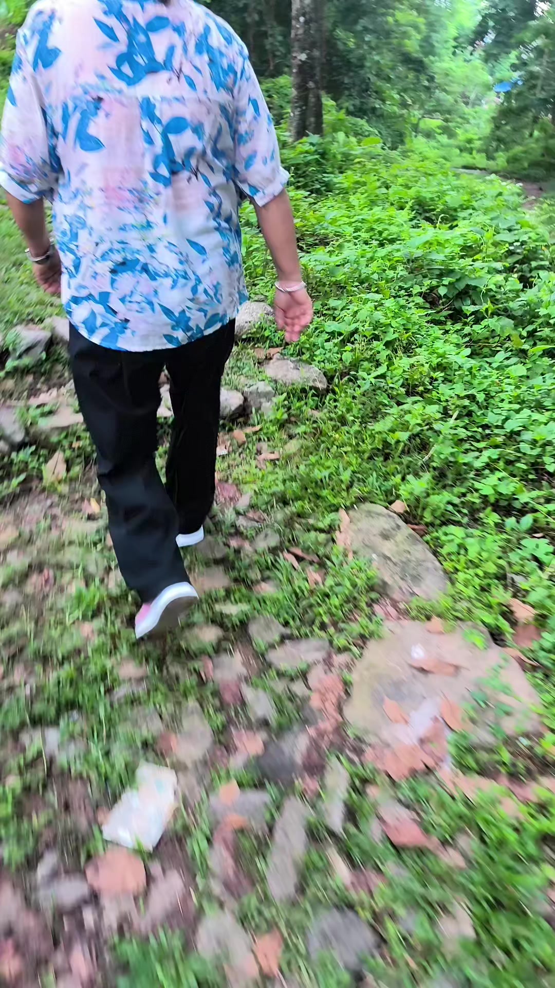 @Numa Limbu