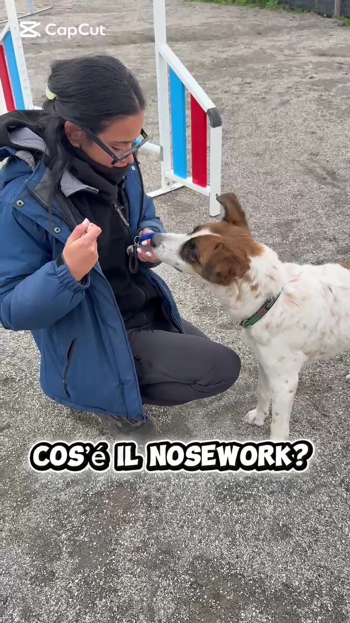 @My funny dog 🐶