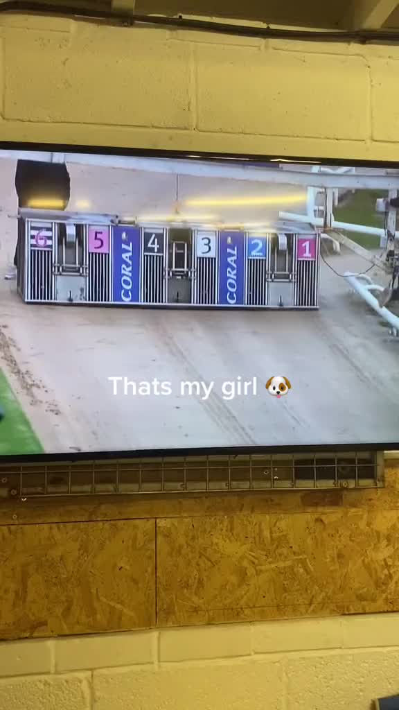 @d&s racing ๐ถ๐