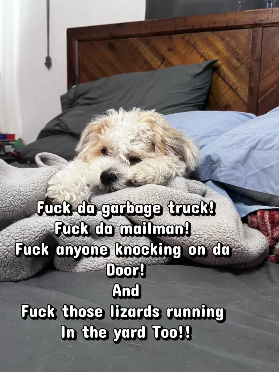 @AntZilla