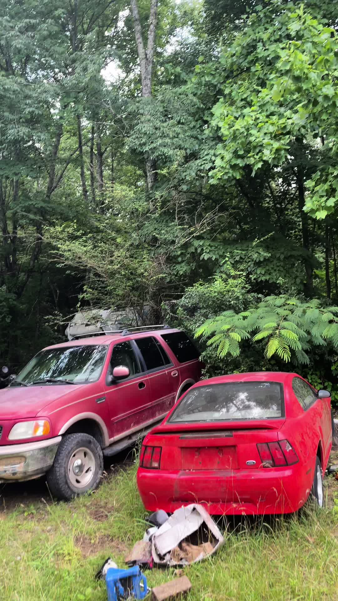 @that_bumpinsierra