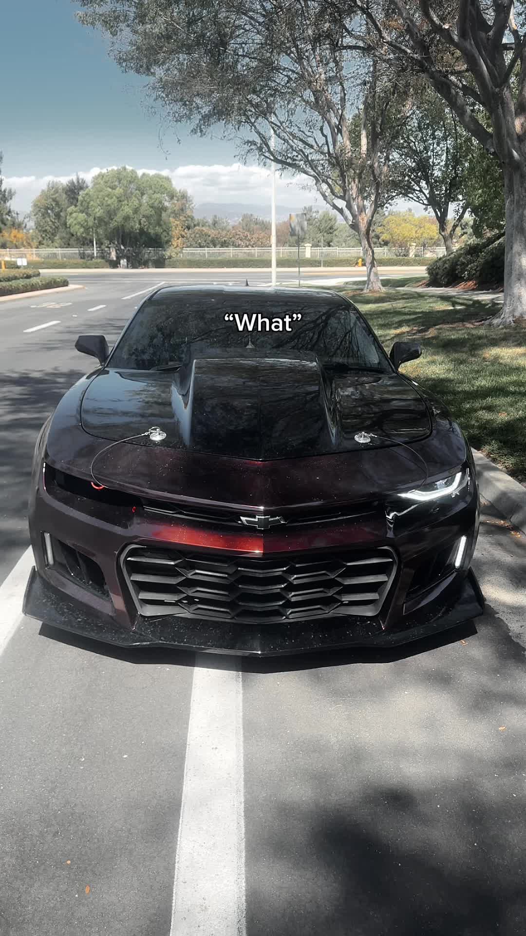 @Miles_6.2